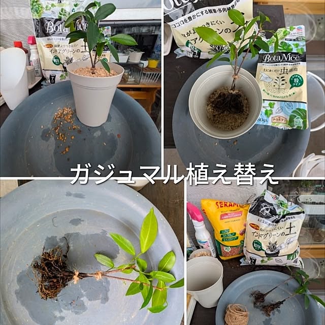 mi-saさんの部屋