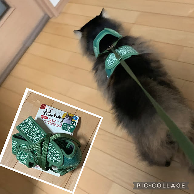 yukarin-gardenさんの実例写真