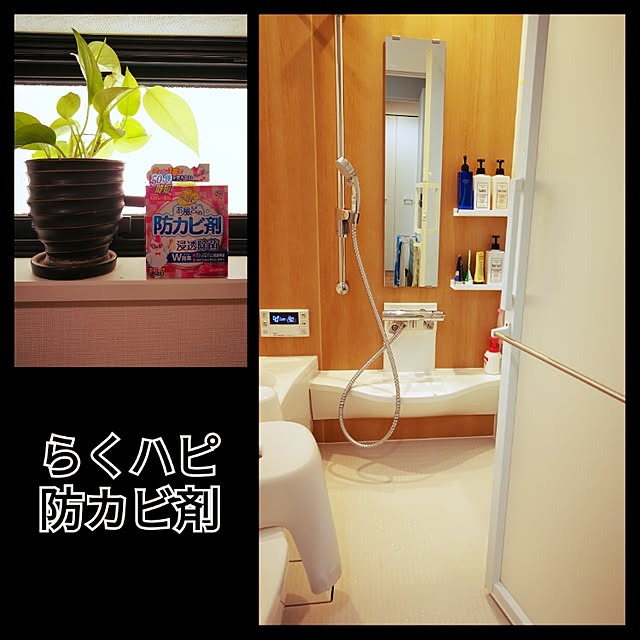 korさんの実例写真