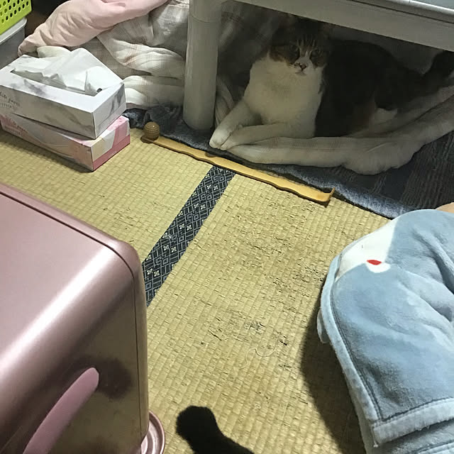himawari123さんの実例写真