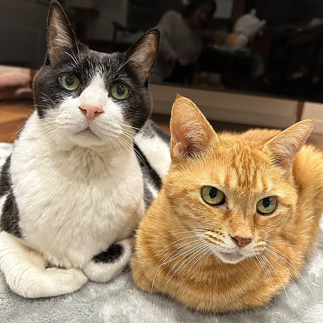 mikeume7さんの実例写真