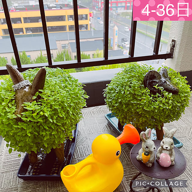 aureaさんの実例写真