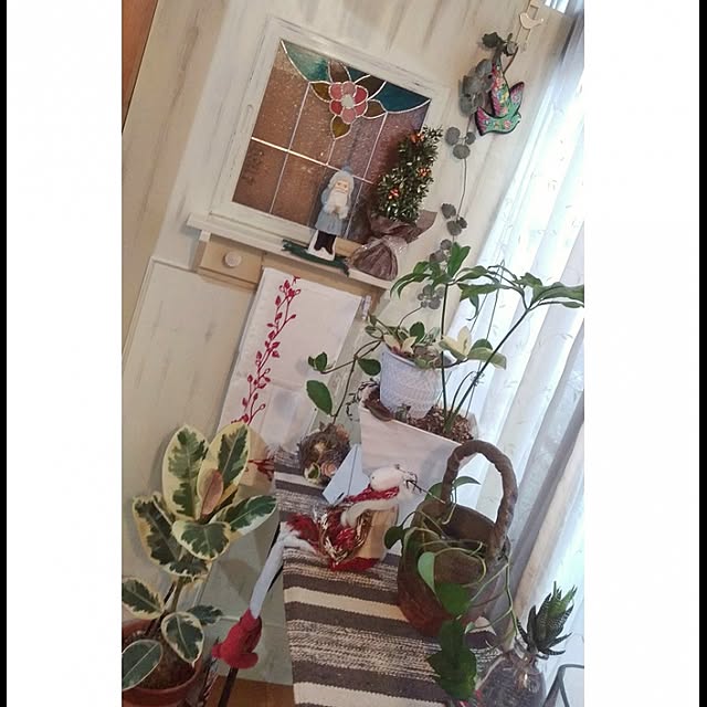 majoさんの実例写真