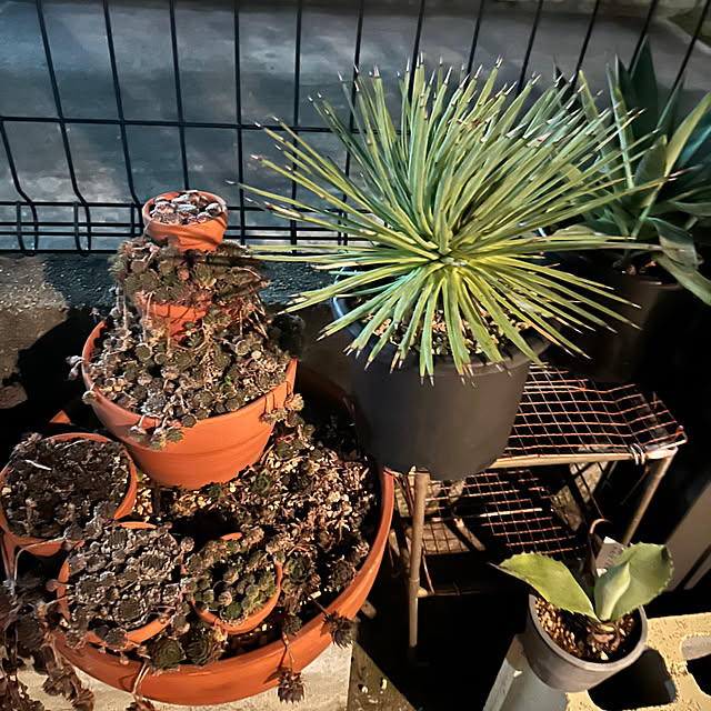 yaiyai38さんの部屋