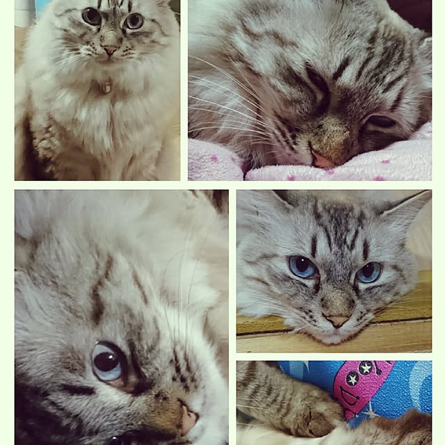 hiroさんの実例写真