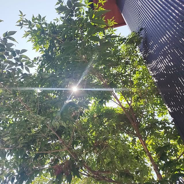 Kaeluさんの実例写真