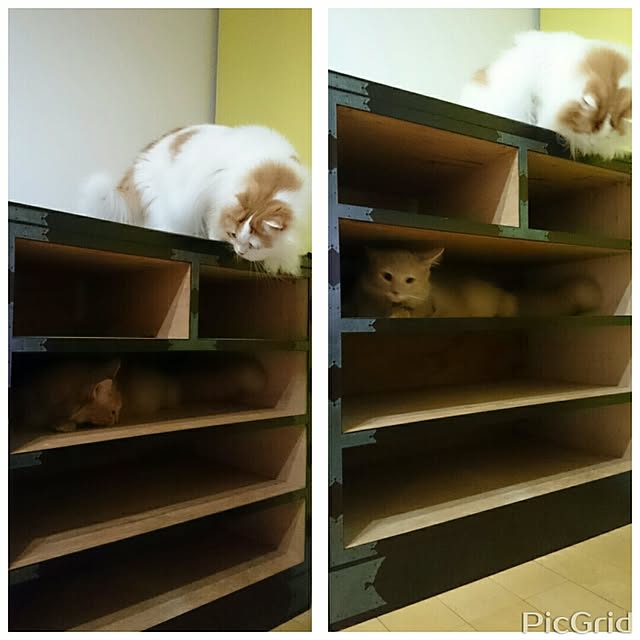1ldksさんの実例写真