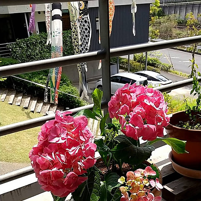naonao382さんの実例写真