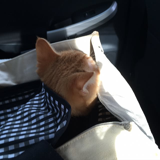 rumiさんの実例写真