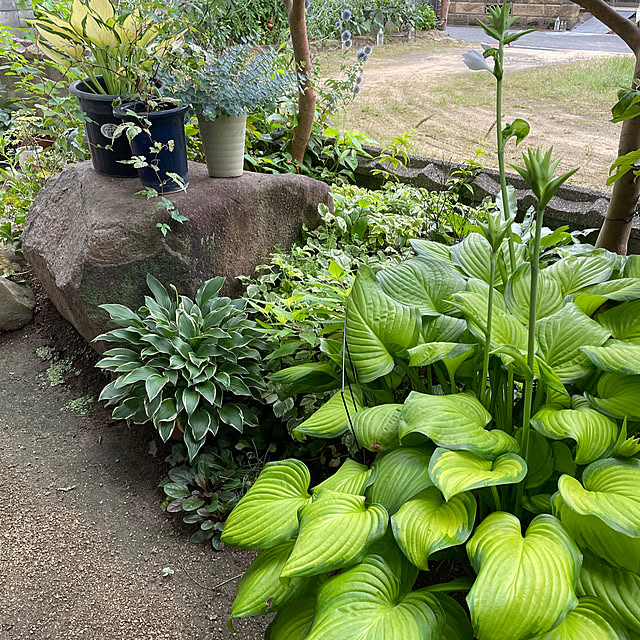 buchiさんの部屋