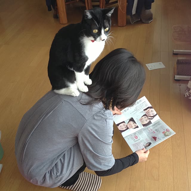 Kinanさんの実例写真