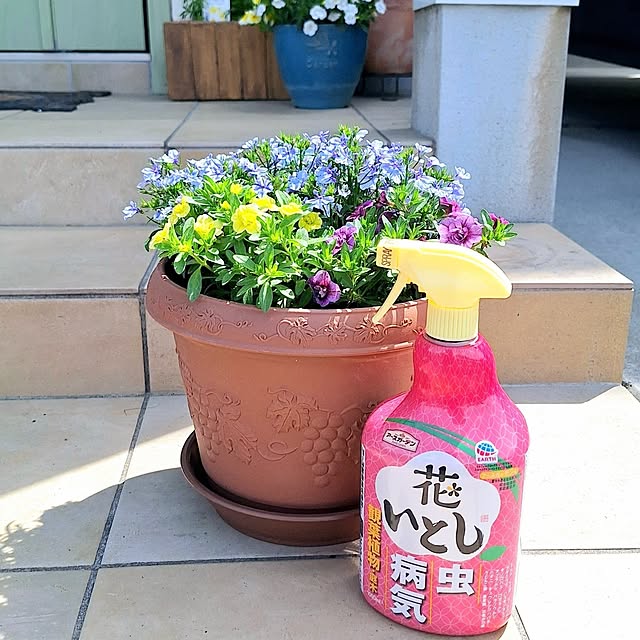 prettychieさんの実例写真
