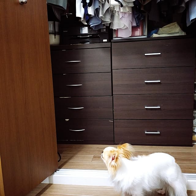toratanさんの実例写真