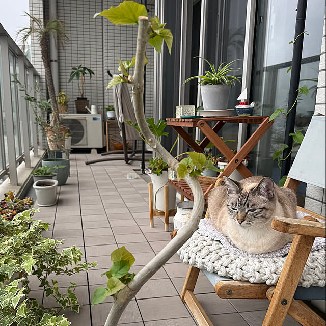 amさんの部屋