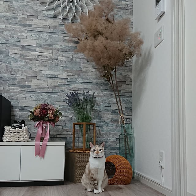 kohakuさんの実例写真
