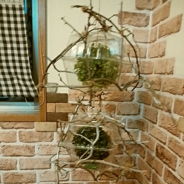 taibokuさんの実例写真