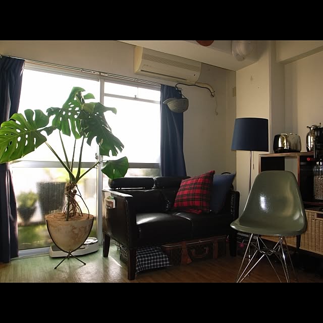 ivyboyさんの実例写真