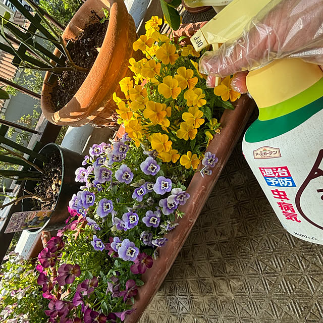 syutmmさんの部屋