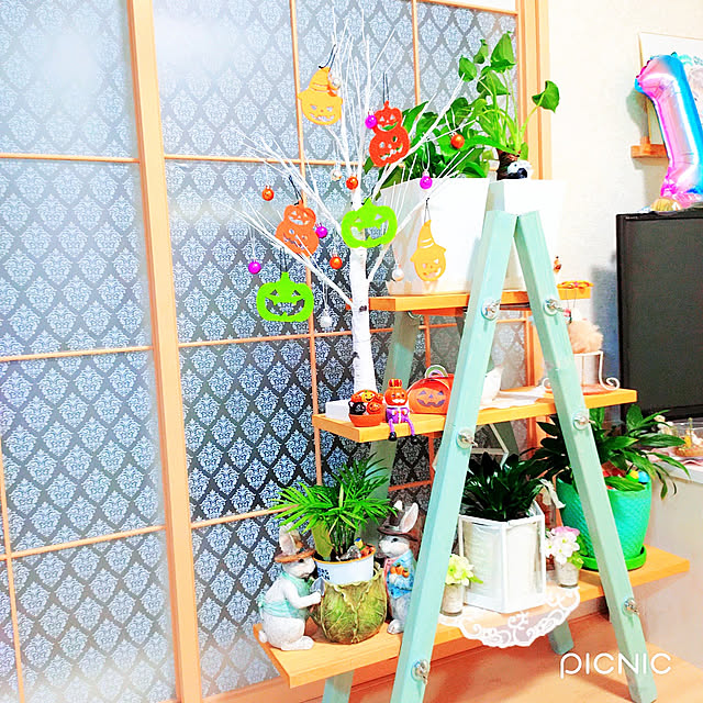 Miyumamaさんの実例写真