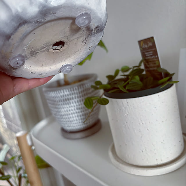 masamasaさんの部屋