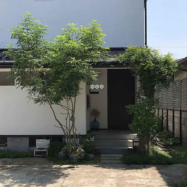 mignonさんの実例写真