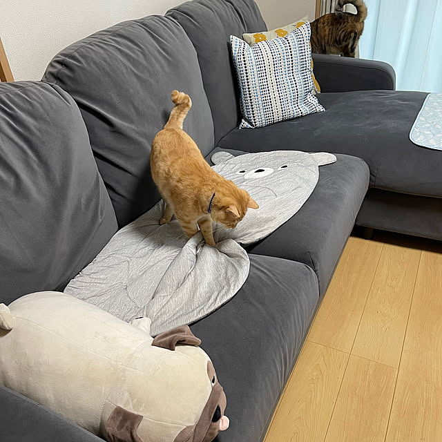 chiiさんの部屋