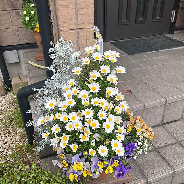 ritsukoさんの部屋