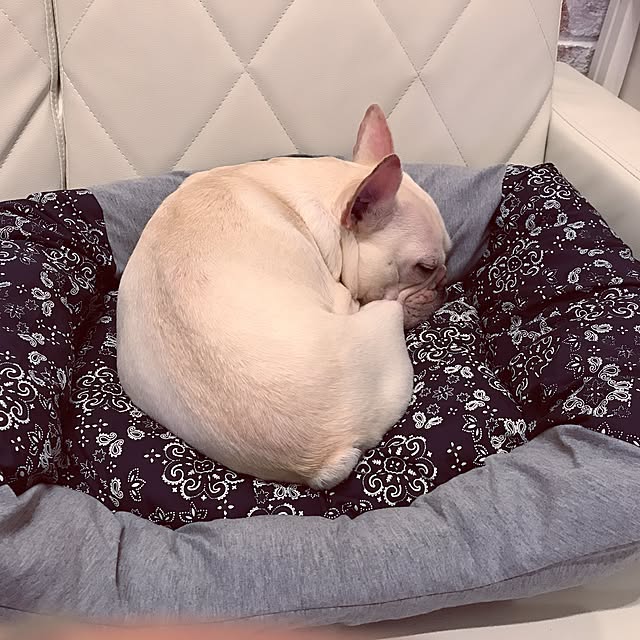 wjs1028さんの実例写真