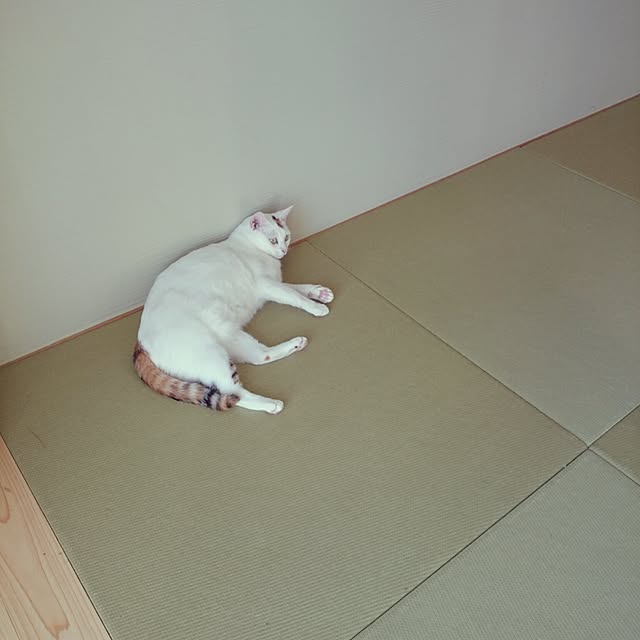 nanakichiさんの実例写真