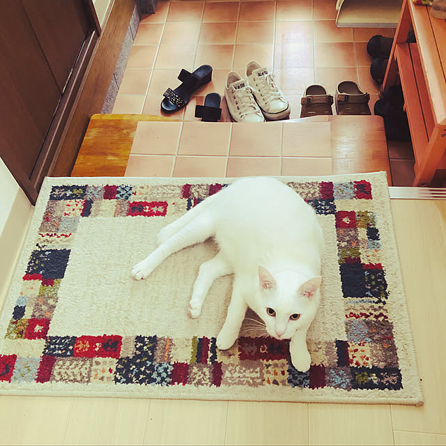moyuhiさんの実例写真