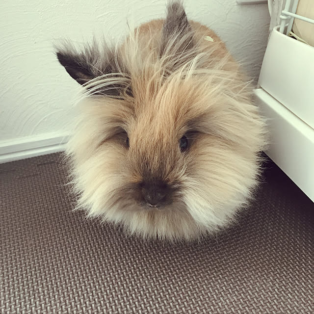 mさんの実例写真