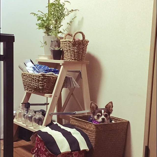 hitosan.さんの実例写真