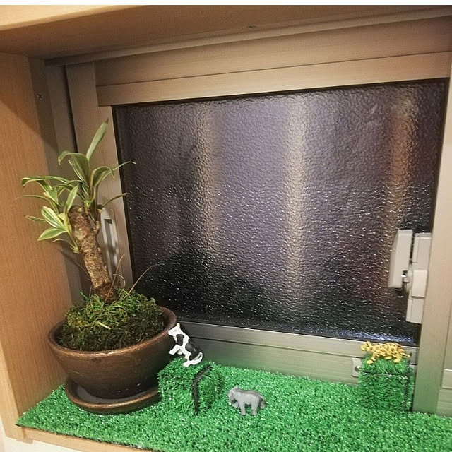 実例写真