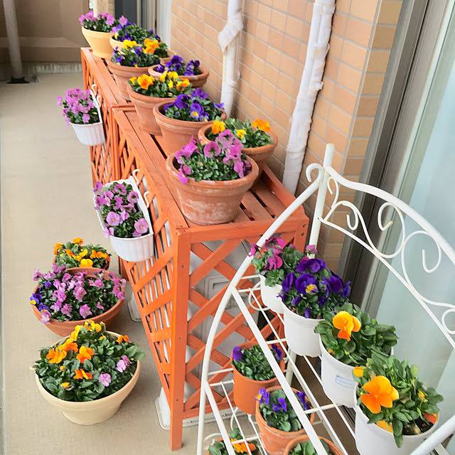 実例写真