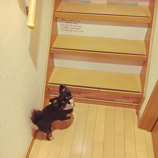 cocoさんの実例写真