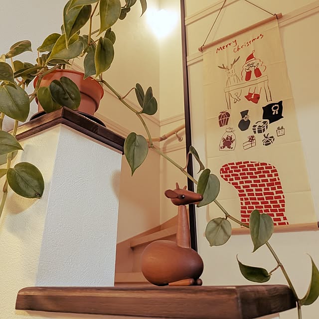 damaさんの実例写真