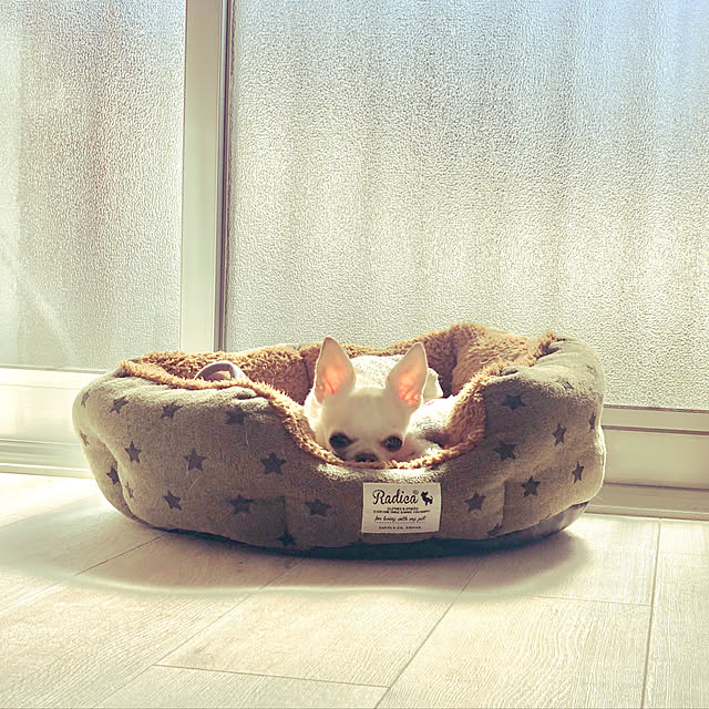 colonさんの実例写真
