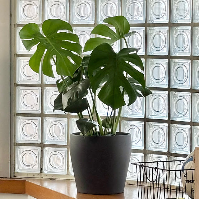 harumiさんの実例写真