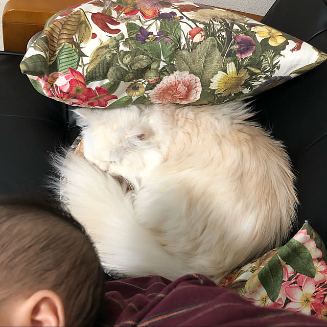 mimosaさんの実例写真