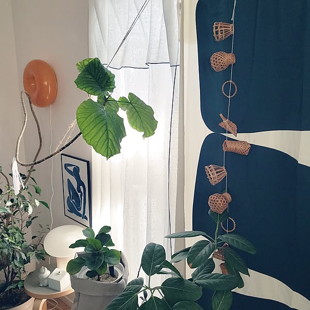 dropさんの実例写真