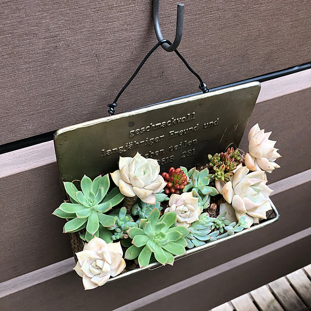 yukkoさんの部屋