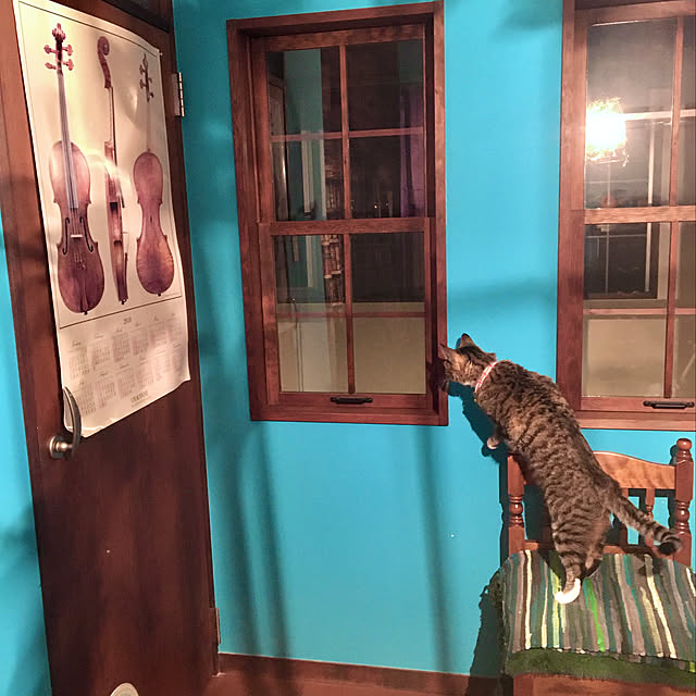 shigimiさんの実例写真