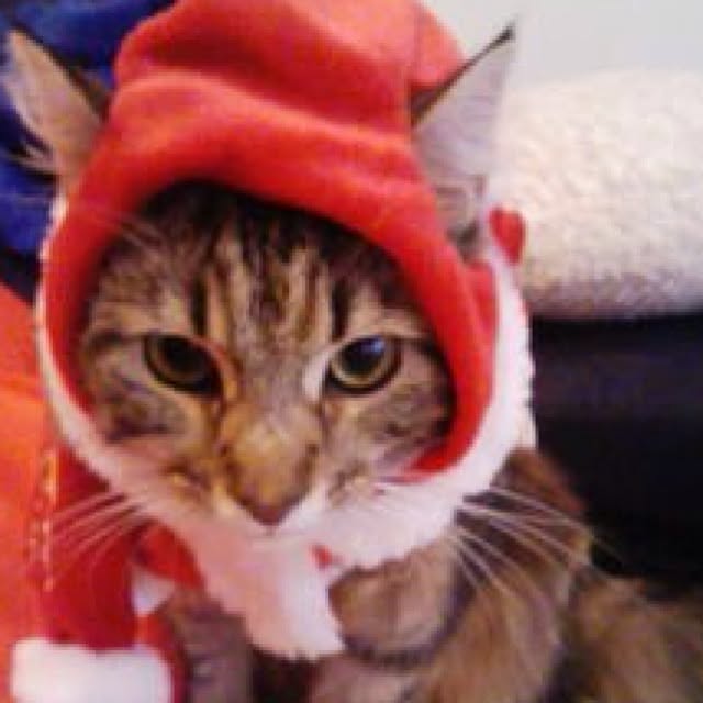 kkotnさんの実例写真