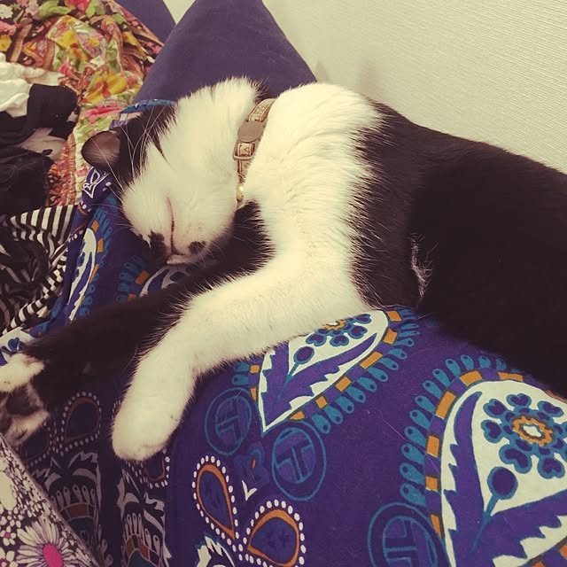 miruさんの実例写真
