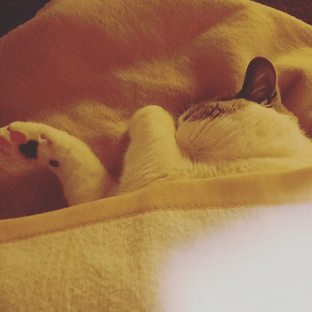 rhuさんの実例写真