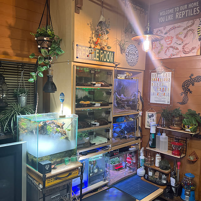 hikoさんの実例写真