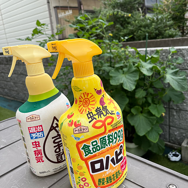 bonapetiさんの実例写真