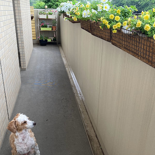 marukoさんの部屋