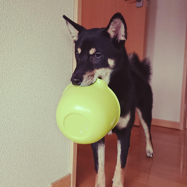 xxxakyxxxさんの実例写真