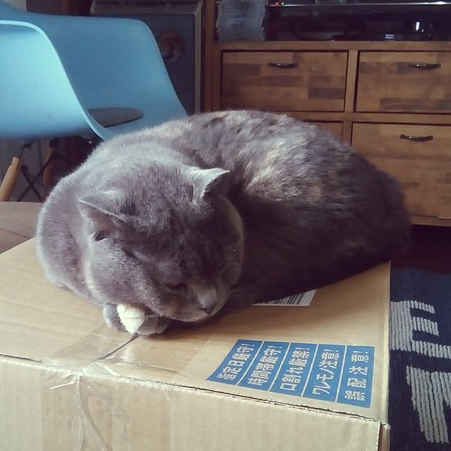 daiさんの実例写真